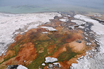 Mammoth Hot Springs / ***