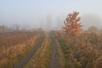 Autumn road / ***