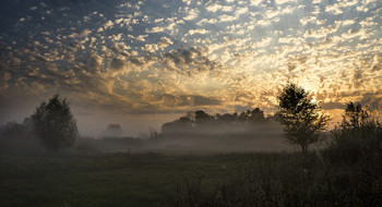 autumn mist / ***