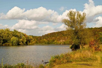 Autumn landscape / ***