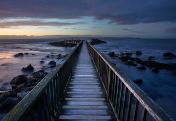 To the sea ... / ***