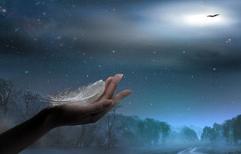 Goodbye / ***