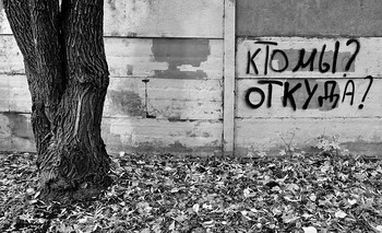 Amnesia / ***