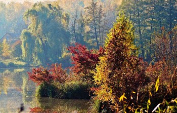 Autumn sunrise / ***