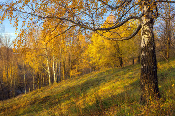 Autumn sunrise / ***