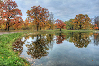 in the park / ***