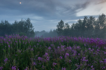 It was getting dark / ***