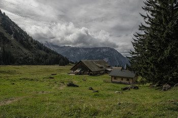 Auf der Alpe / ***