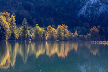 Spiegelung / Spiegelung am Langbathsee