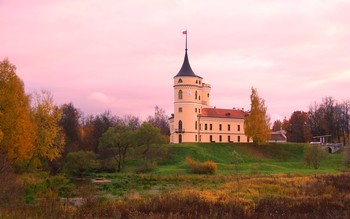 Pink Evening / ***