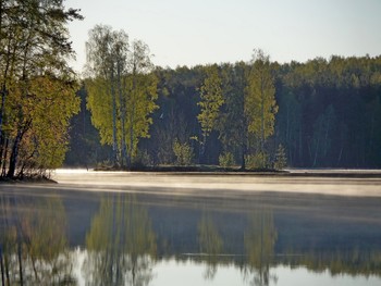 Sunny fog / ***