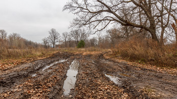 Autumn track / ***