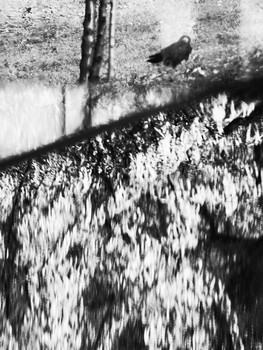 &nbsp; / [img]https://sun9-13.userapi.com/c858524/v858524732/145f0/Sy6UbCsqO8Q.jpg[/img]

[img]https://sun9-42.userapi.com/c858524/v858524732/145e7/sWexoFjWjxc.jpg[/img]

[img]https://sun9-9.userapi.com/c858524/v858524732/145de/ZxX7_9fWEnc.jpg[/img]