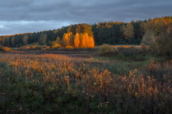 Sunset / ***