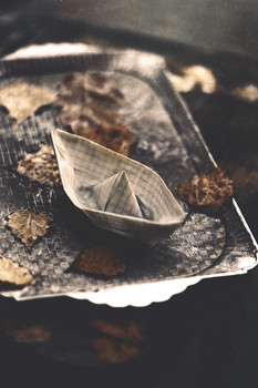 Paper boat ... / ........................