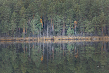 Reflection / ***