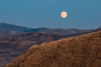 Full moon / [img]https://i.imgur.com/BTM1svC.jpg[/img]
[img]https://i.imgur.com/mNQ3vj0.jpg[/img]
