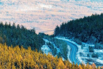 colors of autumn / ***