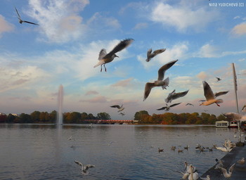 Alster Hamburg / ***
