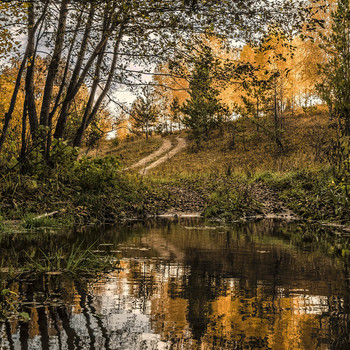 Autumn in the Square / ***
