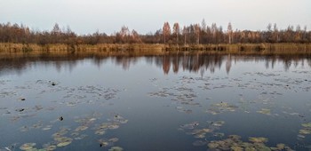 evening in October / ***