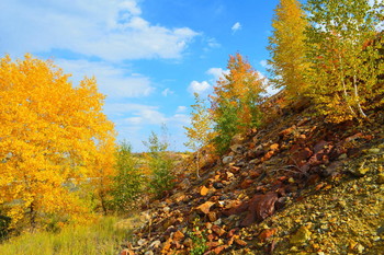 Autumn / ***