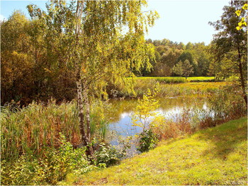 *Autumn sketch** / ***