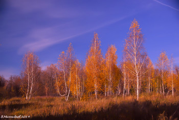 colors of autumn / ***