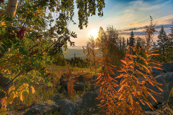 CORNER OF AUTUMN / ***