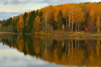 autumn motive / ***