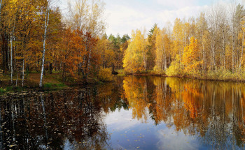 Autumn landscape / ***