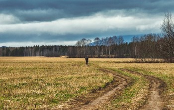 Through the field / ***