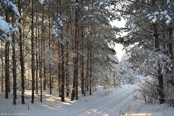 At the beginning of winter / ...