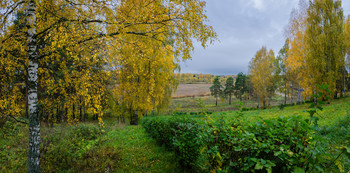 Autumn / ...