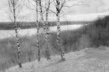 On the high bank / ***