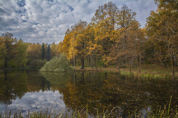 Autumn in the Botanical / ***