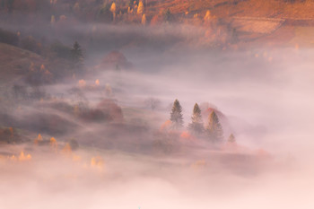 Under the misty blanket / ***