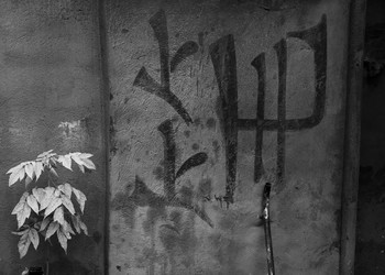 Oriental motif / ***