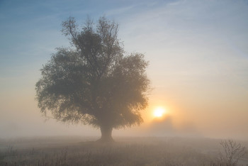 Autumn Sunrise / ***