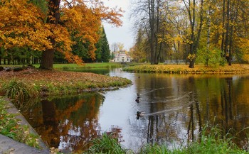 Autumn morning ... / ***