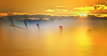 At dawn / ***