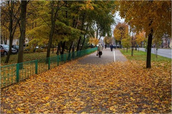 colors of autumn / ***
