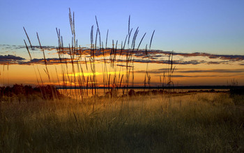 On the shore... / ***