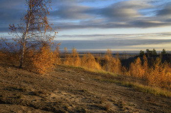 gold autumn / ***