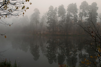 Morning on the lake. / ***