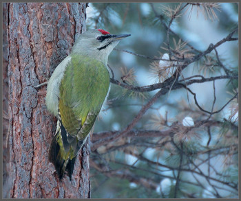 early in the morning / ***