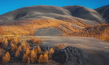 Mountain autumn ... / ***