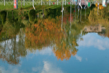 Inverted World / ***