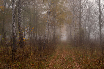 in the park / ***