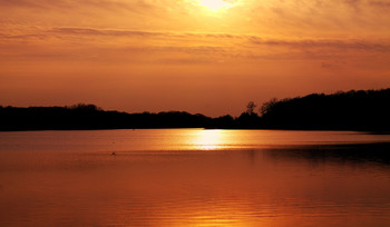 Evening / ...